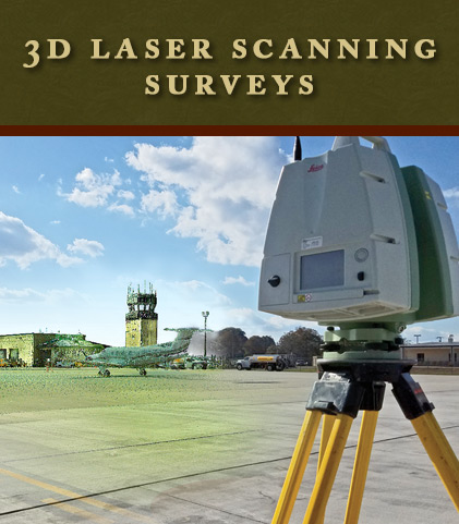 3D Laser Scanning Surveys